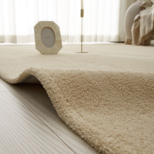 구름 위를 걷는 듯한 부드러움, 썸데이 극세사 단모 러그