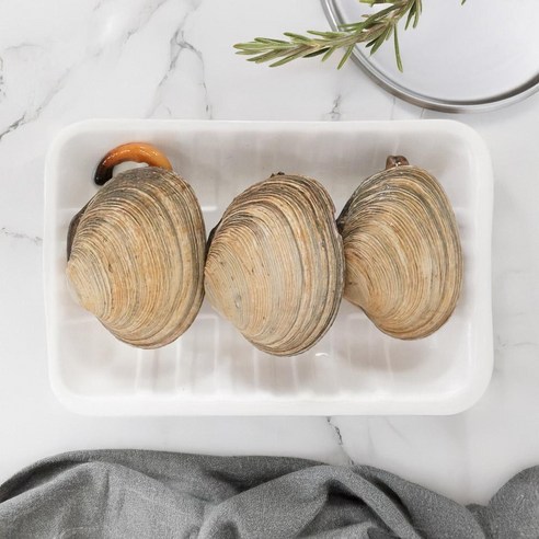 [메가마트]개조개(대합) 대 3마리, 3개