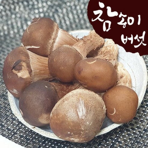 [산지직송] 국내산 참송이버섯 500g (상/못난이 랜덤), 1개, 상세설명 참조