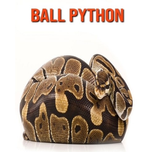 Ball Python: Incredible Pictures and Fun Facts about Ball Python Paperback, Independently Published, English, 9798693764507