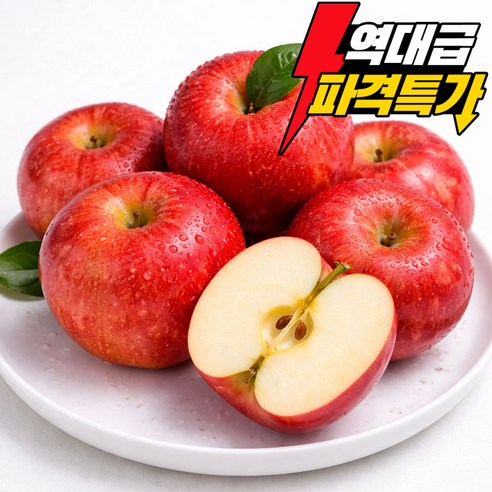 [200박스한정] 고당도 꿀 청송 사과 부사, 1개, 5kg
