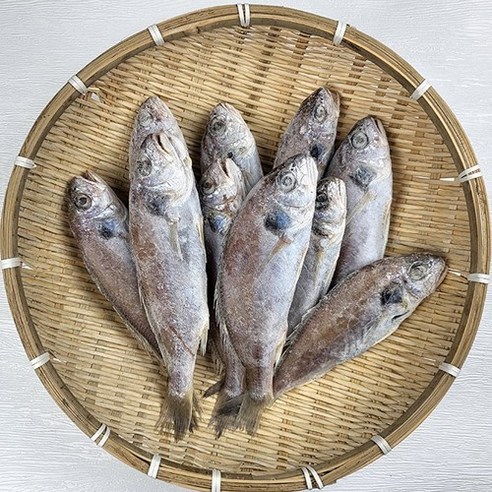 당일조업 국내산 조기 백조기 손질 생선 10마리, 1세트