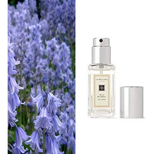 조말론 조말론 와일드 블루벨 EDC 100ml, 1개