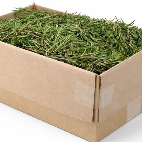 국내산 허브 로즈마리 생잎 한박스 1kg 가락시장 새벽경매, 1kg, 1개