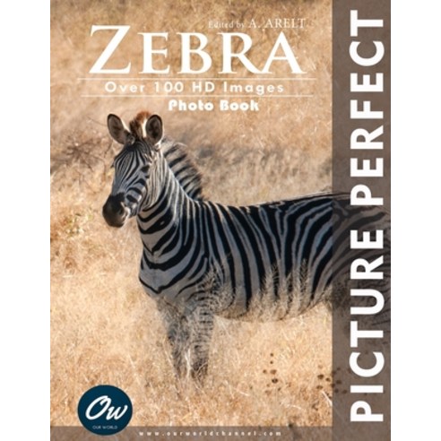 (영문도서) Zebra: Picture Perfect Photo Book Paperback, Independently Published, English, 9798882120503