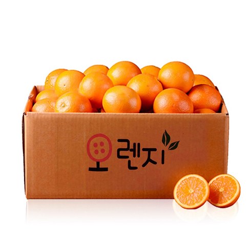 고당도 네이블 오렌지, 1세트, 230g(대과), 20과