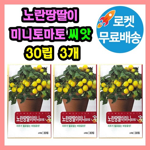 노란 땅딸이 미니 토마토 씨앗 (합 90립) 방울토마토 종자, 3개