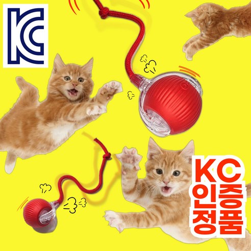 LOAFLY 스마트캣볼: 고양이의 잠재된 사냥 본능을 깨우는 혁신적인 캣토이 고양이자동장난감