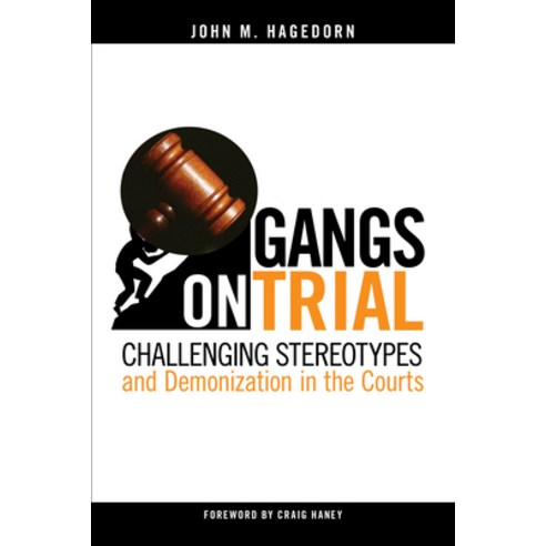 Gangs on Trial: Challenging Stereotypes and Demonization in the Courts Paperback, Temple University Press, English, 9781439922316