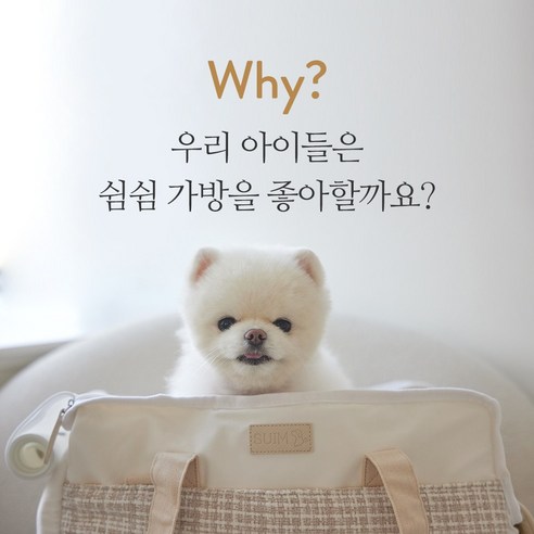 가격, 품질, 기능, 평점, 신뢰성