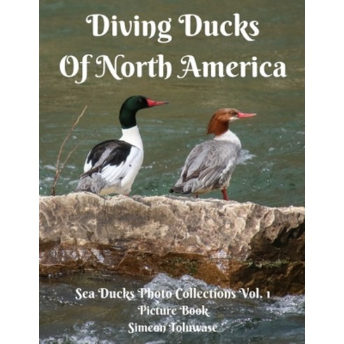 (영문도서) Diving Ducks Of North America Sea Ducks Photo Collections Vol. 1 Picture Book: Photobook Barr... Paperback, Independently Published, English, 9798511070414