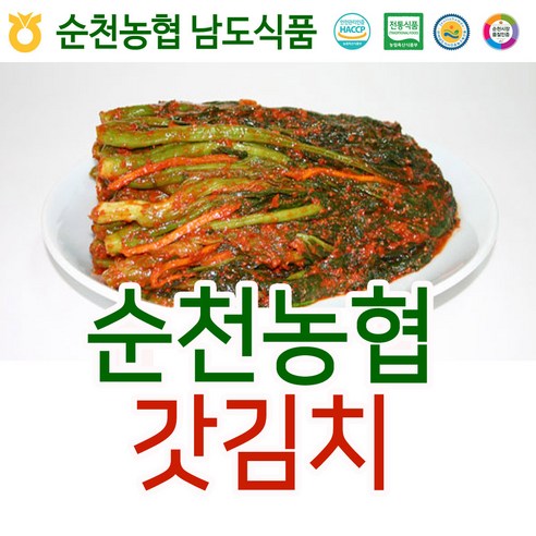 입점특가 한국농협김치 순천 남도 갓 김치 국내산, 1.갓김치 1kg