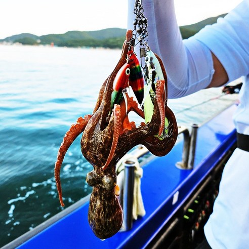 완벽한 수평 조리 방식, 다양한 종류의 해산물, 편리한 사용, 다양한 요리에 활용