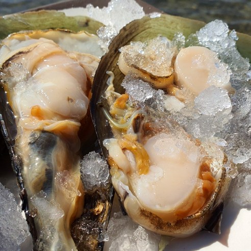 간편한 홈파티, 국내산 생물 키조개로 즐기세요!