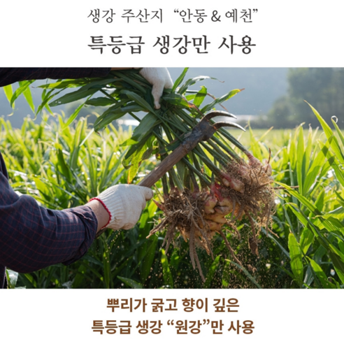 농부의 정성으로 빚어낸, 몸과 마음을 따스하게 녹이는 생강의 황홀한 향연