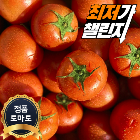 [최저가도전]새벽경매 완숙토마토 초특가, 1박스, 10kg