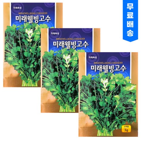 고수씨앗(300립) 3개 샹차이 고수키우기 향채, 6개