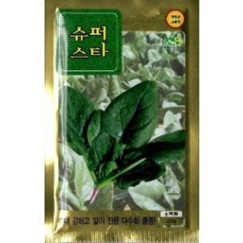 G 시금치 슈퍼스타시금치 씨앗 20g - 원예용품 | 쿠팡