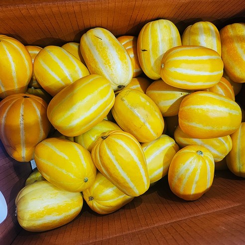 [성주산지직송] 참외 당도선별 고당도 성주참외