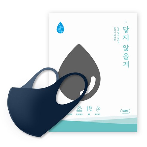 순수믿음 닿지않을게 비말차단 마스크 5매, 1개, 네이비L (성인남녀/청소년)