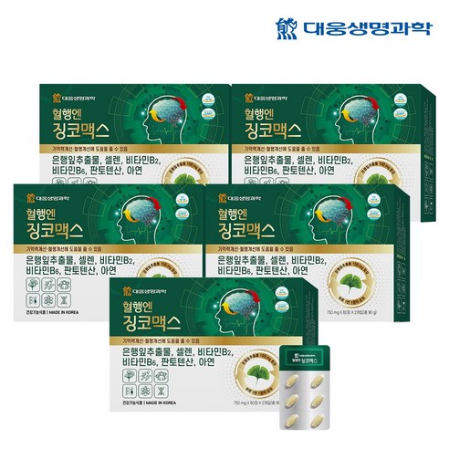 대웅생명과학 혈행엔 징코맥스 은행잎 추출물 혈행 기억력 개선에 도움을 줄수 있음, 120정, 5개