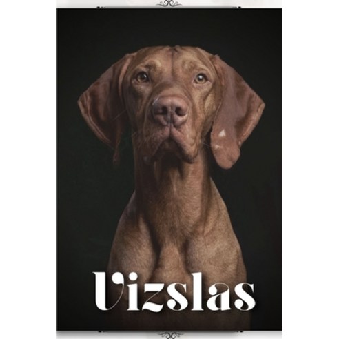 (영문도서) Vizslas: Dog breed overview and guide Paperback, Independently Published, English, 9798399746753