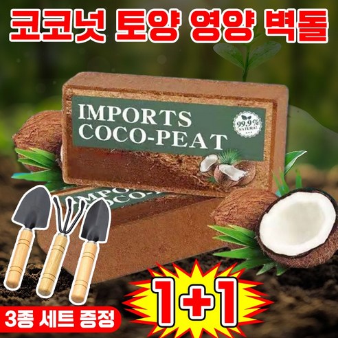 10년의 기다림, 자연을 담은 코코넛 브릭 영양토로 싱그러움을 가꾸다 코코넛브릭영양토