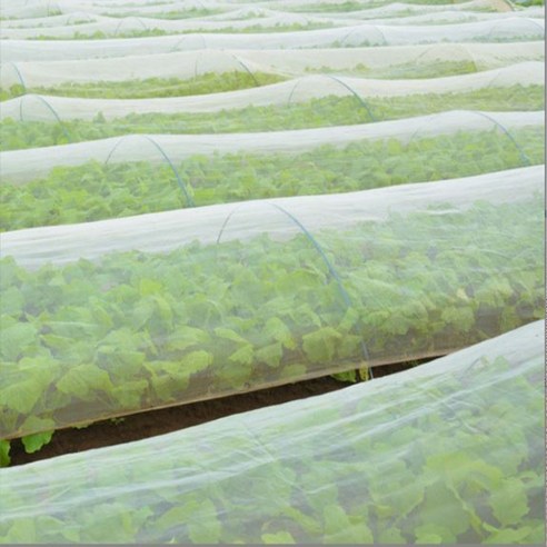 텃밭 초보 탈출! 해충 걱정 없이 풍성한 수확을 돕는 마법, 한랭사 방충망 한랭사