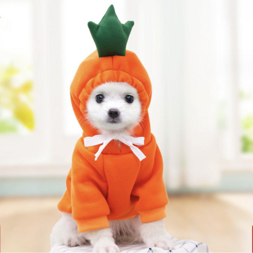 애견생활 소형견 후드티, 당근, 1개