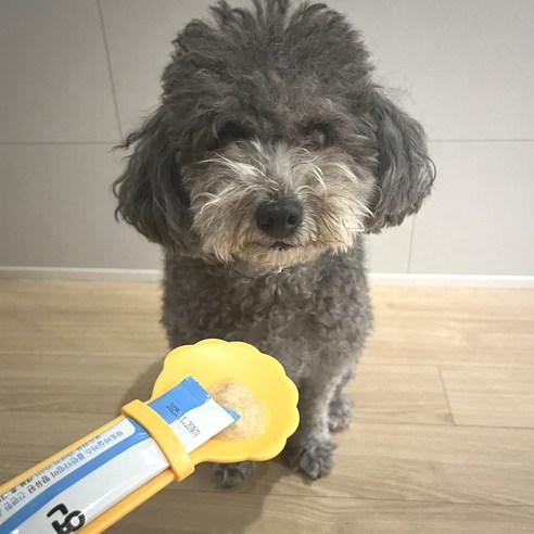 강아지 고양이 츄르짜는 스푼 랜덤색상, 상세페이지 참조, 상세페이지 참조, 상세페이지 참조