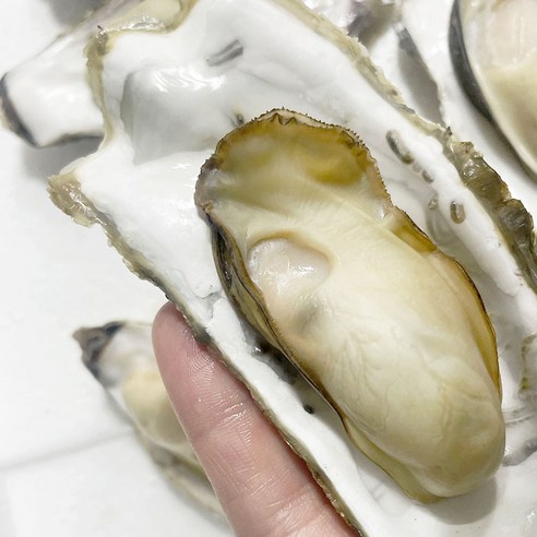 통영의 신선한 홍가리 비굴을 집에서 간편하게 즐기는 조개구이찜