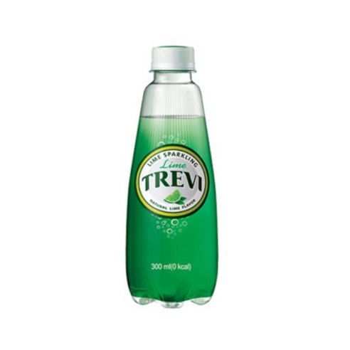 싱그러운 여름을 달콤하게! 트레비 300ml 20펫 탄산수