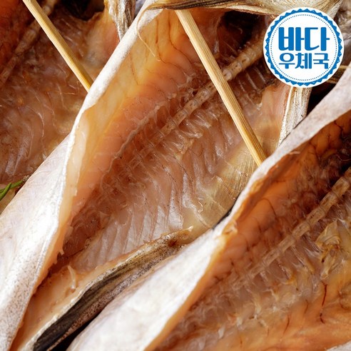 속초 바다의 신선함, 반건조 코다리로 식탁에 든든함을 더하세요!