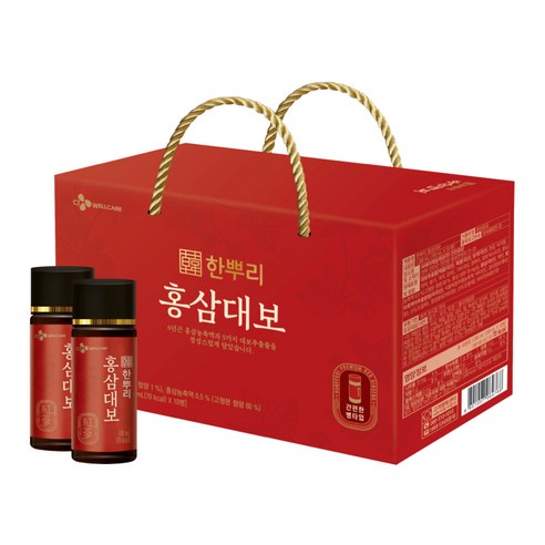 [24년선물세트]한뿌리 홍삼대보 100ml 10입*1박스, 1개