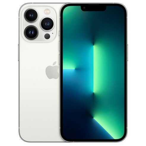 Apple 아이폰 13 Pro 자급제, 실버, 256GB