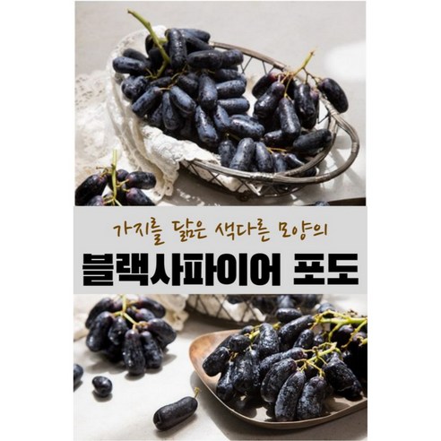 [초고당도] 블랙사파이어 포도 탕후루 포도 중량, 1개, 1.6kg