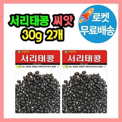 서리태콩 씨앗 (합 60g) 잡곡 검은콩 씨 종자, 2개