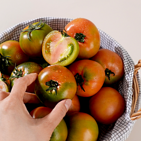 붉은 보석, 대저 토마토가 선사하는 특별한 미식 경험