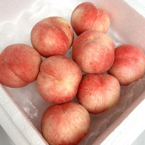 [고당도] 한국식 납작 대극천 딱딱이 복숭아, 1개, 대과 2kg