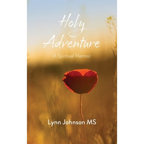(영문도서) Holy Adventure: A Spiritual Memoir Paperback, Meetinghouse, English, 9781594980954