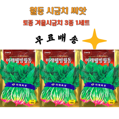 겨울시금치씨앗 3봉1세트 월동시금치종자, 1세트