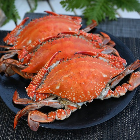 더꽃게 활꽃게로 온 가족 행복 만찬!