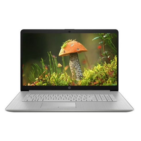 HP 노트북 17s, 17S-cu0017TU, Free DOS, 4GB, 256GB, 코어i3, 네추럴 실버