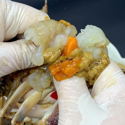간장게장연구소 알가득 알배기 국내산 암꽃게 간장게장 1.8kg 특대사이즈 2미, 3개