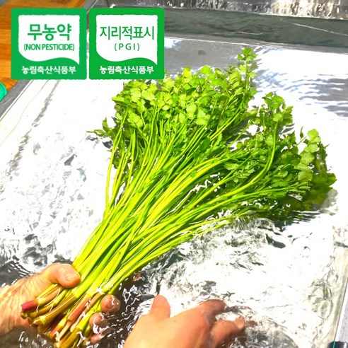 자연의 싱그러움을 담은 청도 한재 미나리로 건강한 식탁을!