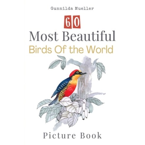 (영문도서) 60 Most Beautiful Birds of the World Picture Book: 60 Bird Pictures for Seniors with Alzheime... Paperback, Adisan Publishing AB, English, 9789189700321