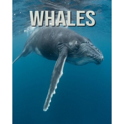 Whales: Fascinating Whales for Kids with Stunning Pictures! Paperback, Independently Published