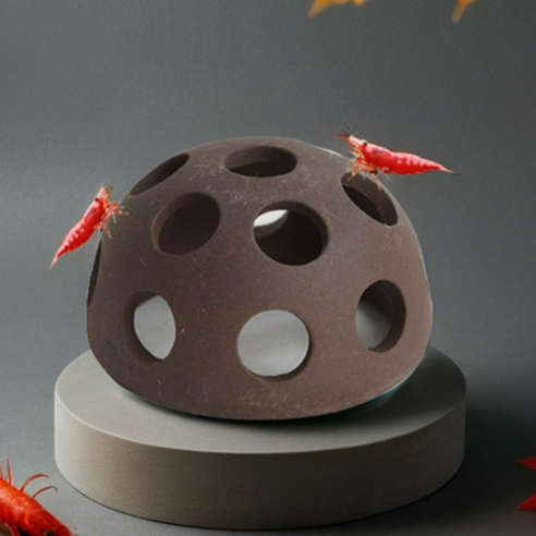 꼬물꼬물 귀여운 친구들, 내 작은 세상에 생기를 불어넣다 골든백새우