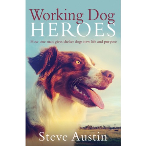 (영문도서) Working Dog Heroes Paperback, Harper Collins Publishers A..., English, 9780733334399