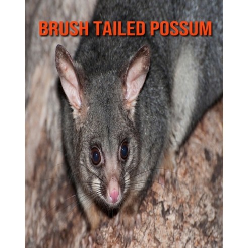 Brush Tailed Possum: Super Fun Facts And Amazing Pictures Paperback, Independently Published, English, 9798694521383